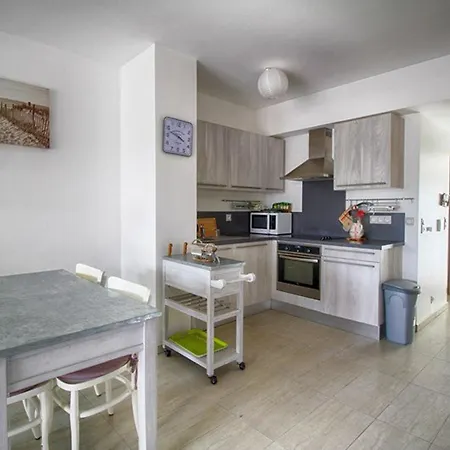 3 Pieces Avec Terrasse, A 350m De La Plage, Parking Et Clim - - Fr-1-63-260 Apartment